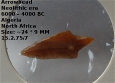 Neolithische pijlpunt artefact #15.2.75/7 Antiek 6000 – 4000 Jaar v. Chr. Sahara
