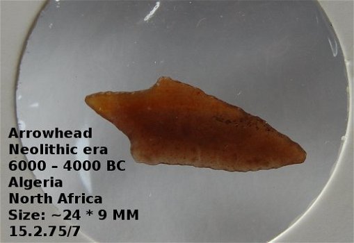 Neolithische pijlpunt artefact #15.2.75/7 Antiek 6000 – 4000 Jaar v. Chr. Sahara - 2