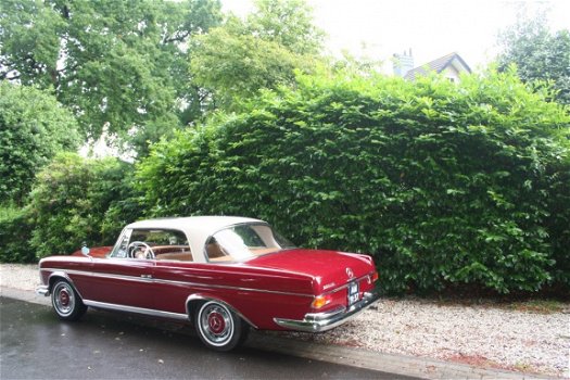 fraaie trouw auto huren: Mercedes 220seb coupe 1962 particulier - 8