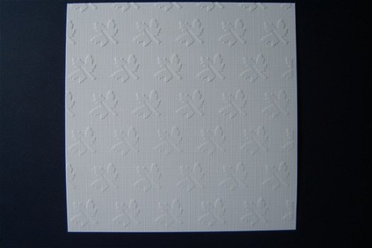 v12. Embossing opleg kaartje blaadjes - 1