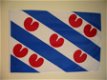 Friesland gevelvlag 100 x 150 cm - 1 - Thumbnail