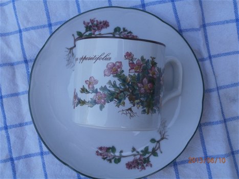 Villeroy en Boch,mokka kop en schotel botanica ...15C - 1