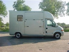 Renault Master - 2.5 D 2-Paards Paardenauto