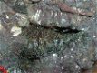 Quartz omgroeid met Hematietkristallen. #3 - 1 - Thumbnail