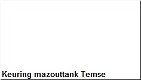 Keuring mazouttank Temse - 1 - Thumbnail