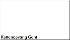 Kattenopvang Gent - 1 - Thumbnail