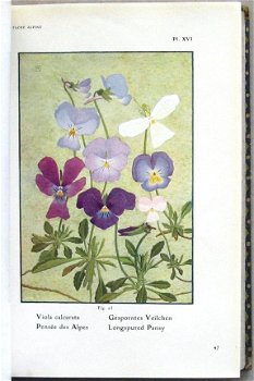 Flore Alpine [c.1911] Correvon - Alpiene bloemen - 6