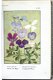 Flore Alpine [c.1911] Correvon - Alpiene bloemen - 6 - Thumbnail