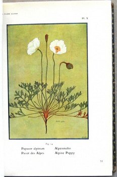 Flore Alpine [c.1911] Correvon - Alpiene bloemen - 7