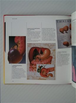 [1996] Airbrush Technieken, Leek, Librero - 4