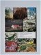 [1984] Guide to the Christoffel Park, Curaçao, Reijns, STINAPA - 5 - Thumbnail