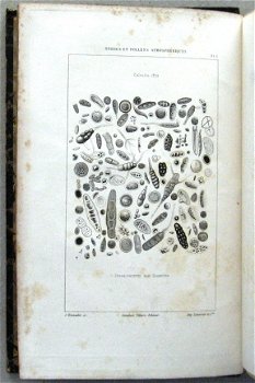 Les Organismes De l'Atmosphère 1883 Miquel - 1