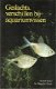 Geslachtsverschillen bij aquariumvissen - 1 - Thumbnail