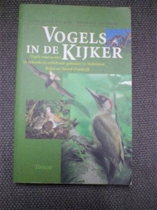 Vogels in de kijker Vogels waarnemen Arnoud van den Berg