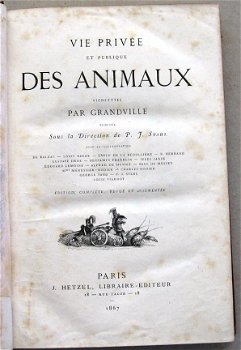 Vie Privée et Publique des Animaux 1867 Grandville - 4