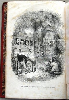 Vie Privée et Publique des Animaux 1867 Grandville - 5