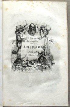 Vie Privée et Publique des Animaux 1867 Grandville - 6