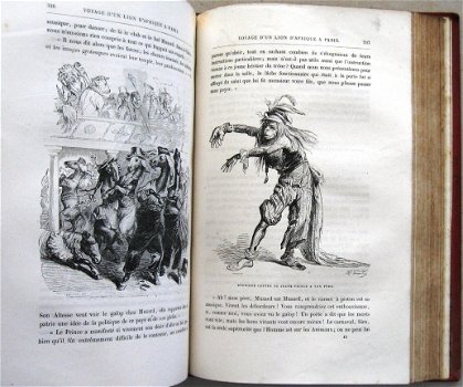 Vie Privée et Publique des Animaux 1867 Grandville - 7