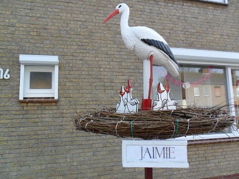 Geboorteborden keuze uit 156 st ook 3d ooievaar op nest. - 1