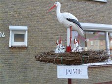 Geboorteborden keuze uit 156 st ook 3d ooievaar op nest.