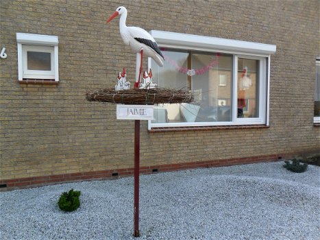 Geboorteborden keuze uit 156 st ook 3d ooievaar op nest. - 2