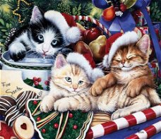 SunsOut - Meow-y Christmas - 550 Stukjes Nieuw