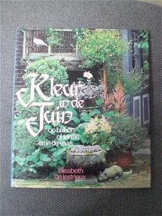 Kleur in de tuin  Elisabeth de Lestrieux