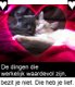 Wie kan er voor een liefdevol nieuw thuis zorgen s.v.p. - 7 - Thumbnail