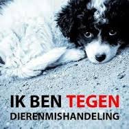 Attentie: bied geen gratis dieren (hond, kat, konijn, knaagdier) aan op aanbodsites! - 6