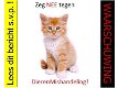 Let op: Bied geen gratis dieren (kat, hond, konijn, knaagdier) aan op aanbodsites! - 1 - Thumbnail