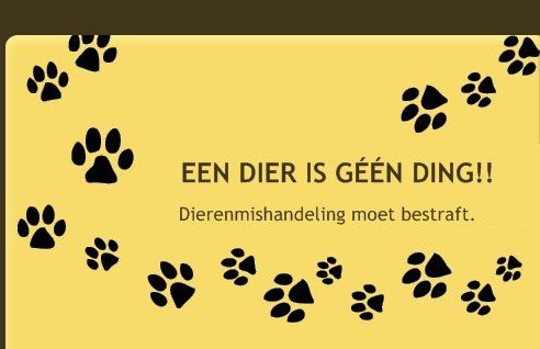 Let op: Bied geen gratis dieren (kat, hond, konijn, knaagdier) aan op aanbodsites! - 3