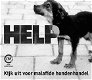 Attentie: Let op waar je je puppie, puppy, pup hond koopt! - 3 - Thumbnail