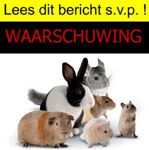 Waarschuwing: bied geen gratis dieren (konijn, knaagdier, hond, kat) aan op aanbodsites! - 1