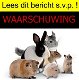 Waarschuwing: bied geen gratis dieren (konijn, knaagdier, hond, kat) aan op aanbodsites! - 1 - Thumbnail