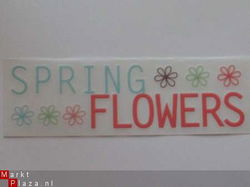 OPRUIMING: rubon title wave spring flower