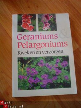 Geraniums & pelargoniums kweken en verzorgen, Doornbosch ea - 1
