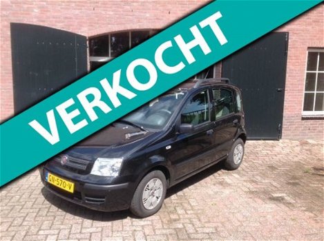 Fiat Panda - 1.2 Edizione Cool - 1