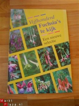 Vijfhonderd fuchsia's te kijk door Miep Nijhuis - 1