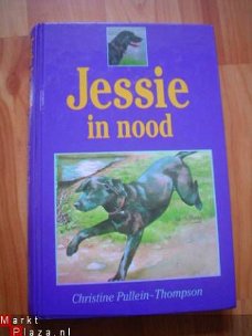 Jessie in nood door Christine Pullein-Thompson