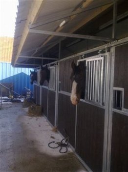 voorwand + tussenwand paardenbox - 4