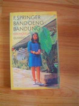 Bandoeng-Bandung door F. Springer - 1