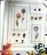 borduurpatroon 3568 drie tableaux met bloemen - 1 - Thumbnail