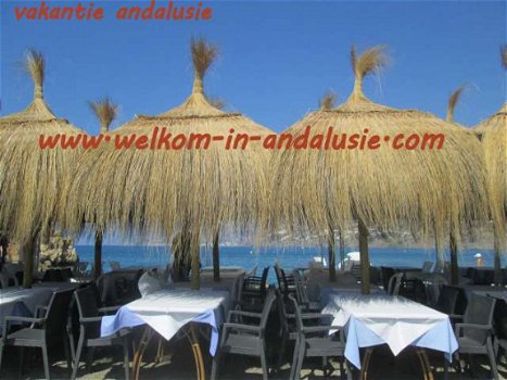 andalusie te huur vakantiehuizen met prive zwembaden - 1