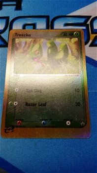 treecko rev foil 003 nearmint - 0