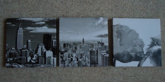Vier afbeeldingen op canvasdoek (20 x 20 cm en 25 x 25 cm). - 3