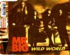 Mr. Big - Wild World 3 Track CDSingle - 1 - Thumbnail