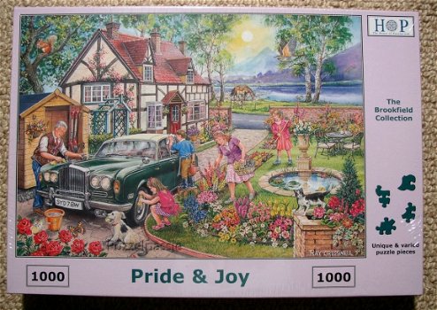 House of Puzzles - Pride & Joy - 1000 Stukjes Nieuw Schade - 2