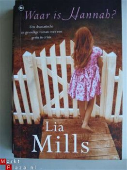 Waar is Hannah Lia Mills een roman over een gezin in crisis - 1