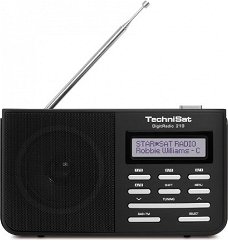 TechniSat DAB+ Digitradio 210 IR (zwart en zilver)