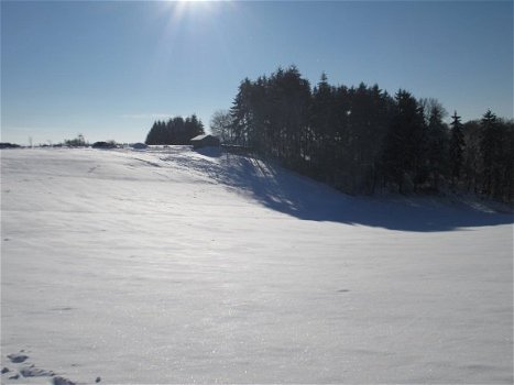 Sneeuw-wandelen in de Vulkaaneifel / 2 Vakantiewonigen - 3